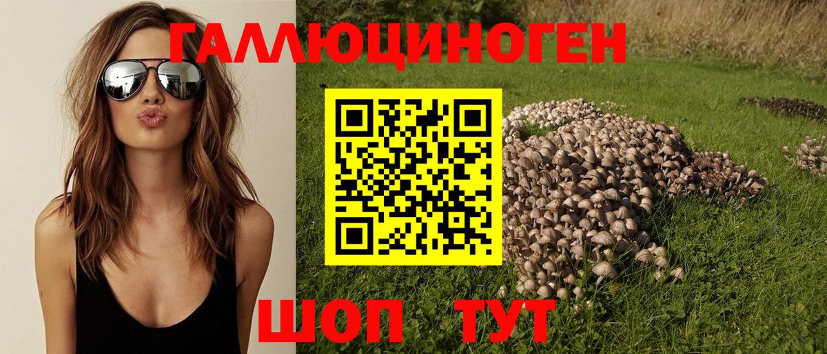Галлюциногенные грибы Psilocybe  Галлюциногенные грибы GOLDEN TEACHER  Вход с VPN  Сафоново 