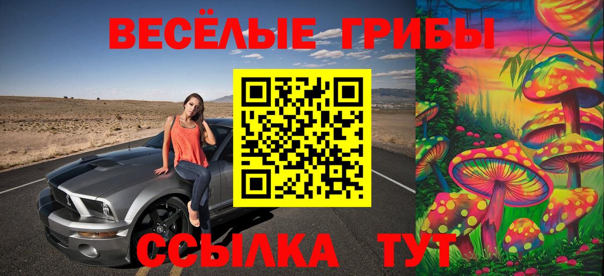 Псилоцибиновые грибы Cubensis Сафоново