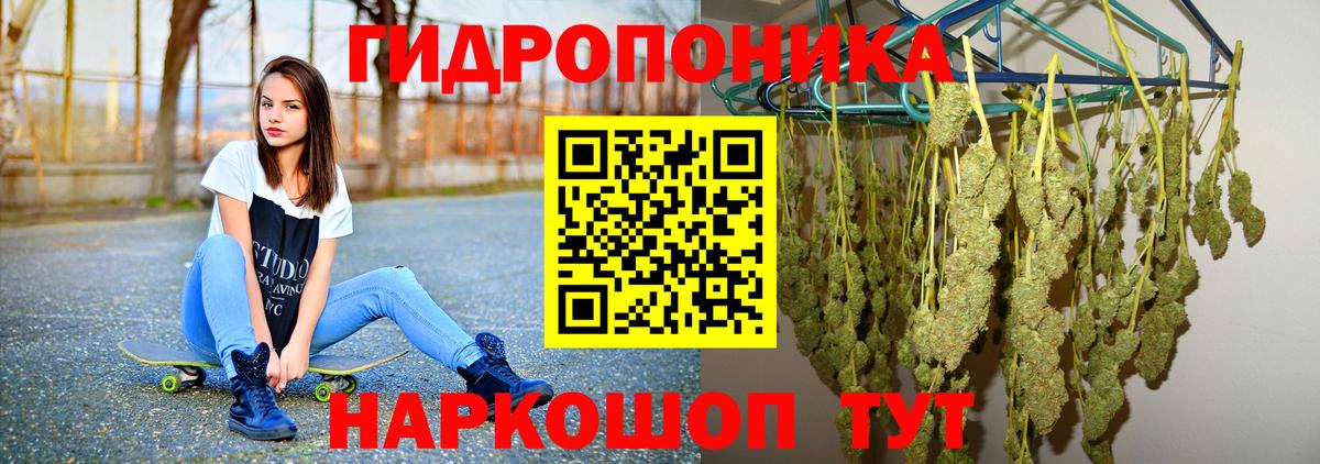 Бошки марихуана индика  Марихуана план  Марихуана LSD WEED  Сафоново  Вход с VPN  МАРИХУАНА MAZAR 